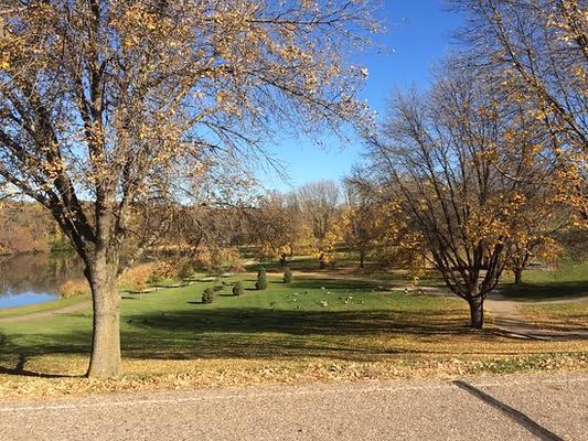 Dog Park at Bacon Creek Park photo 2